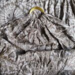 Pellicano Baby Yuki Mother Earth